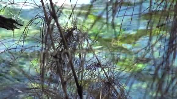 山河显示了阿根廷巴塔哥尼亚的动力水视频的预览图
