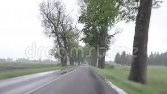 雨车挡风玻璃视频的预览图