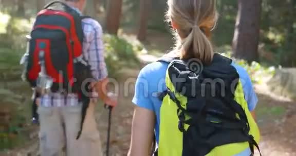 徒步旅行者夫妇在森林中徒步旅行的肖像视频的预览图