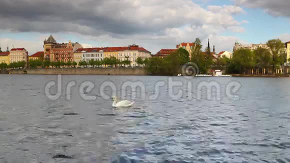 布拉格的新桥视频的预览图