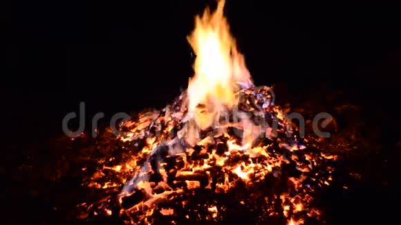 美丽的红色炽热的燃烧着的燃烧着的火焰堆在冬天视频的预览图