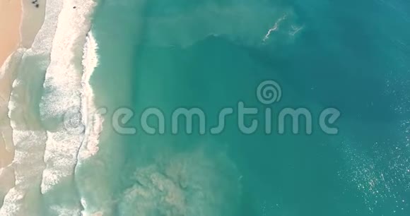 鸟瞰热带岛屿海滩视频的预览图