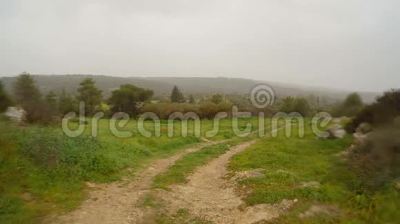 塞浦路斯深冬大雨下一条土路在橄榄林中留下视频的预览图