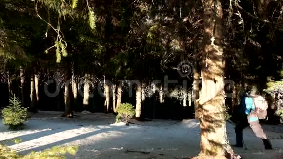 游客在美丽的冬林徒步旅行视频的预览图