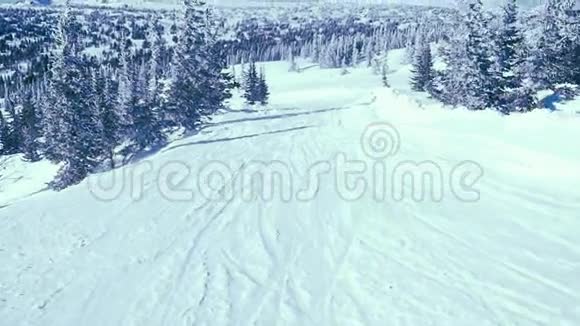 美丽的冬季景观雪覆盖的树木在缓慢的运动1920x1080视频的预览图