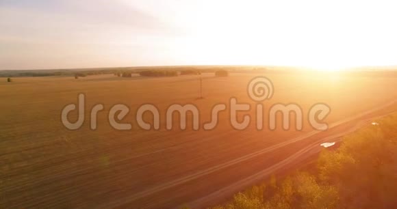 超高清4K鸟瞰图空中飞越黄麦田园视频的预览图