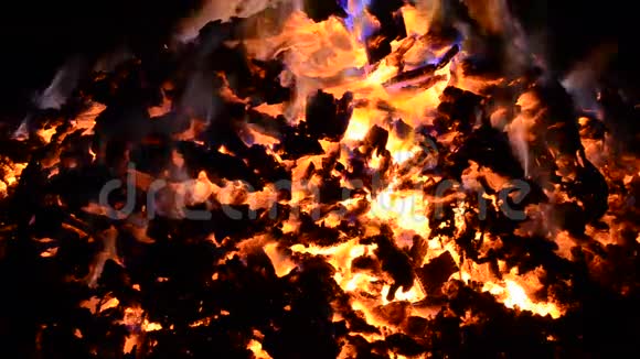 美丽的红色炽热的燃烧着的燃烧着的火焰堆在冬夜里视频的预览图