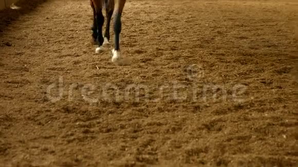 骑马的女人视频的预览图