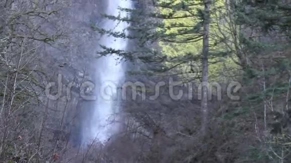 俄勒冈州的瀑布视频的预览图