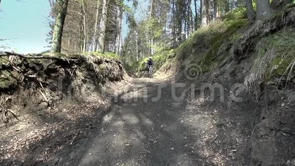 在森林中的公路上下坡行驶视频的预览图