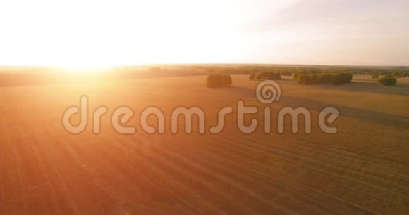 超高清4K鸟瞰图空中飞越黄麦田园视频的预览图