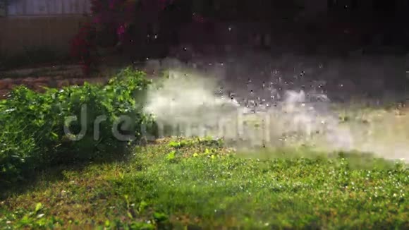 花园喷灌机浇灌草坪视频的预览图
