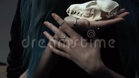 一个年轻女孩拿着一个神秘的头骨在狐狸手中的肖像染的长发视频的预览图