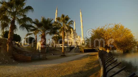 塞罕河上的萨班西默克孜清真寺有棕榈树夏日阳光明媚的早晨视频的预览图