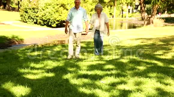 退休夫妇在公园里散步视频的预览图
