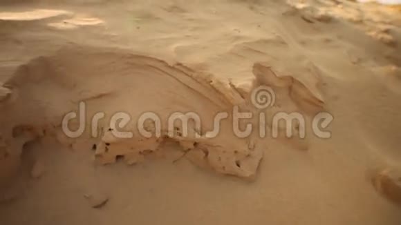 沙漠中的干沙视频的预览图
