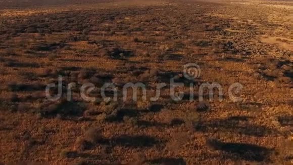 日落时对非洲性质的全景视频的预览图
