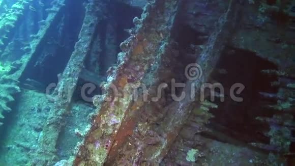 红海海底沉船背景海洋景观视频的预览图
