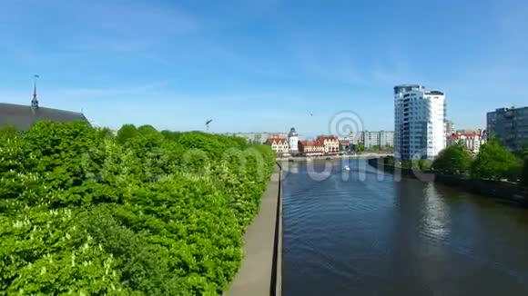 春天的城市景观加里宁格勒视频的预览图