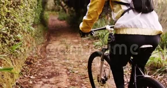 骑在森林里的男山地摩托车视频的预览图
