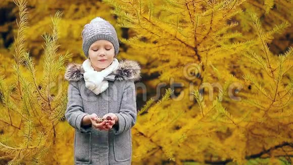 可爱的小女孩在温暖的春日户外视频的预览图