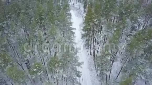 在冬季森林道路上驾驶汽车的鸟瞰图冬季景观视频的预览图