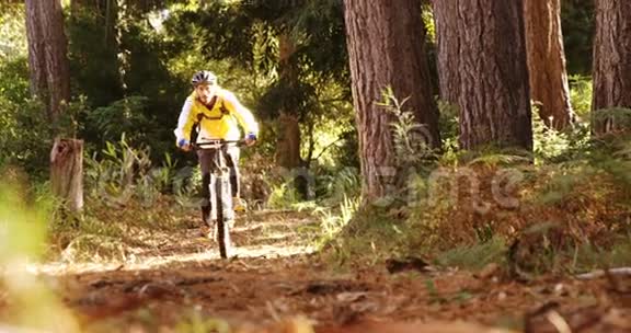 骑在森林里的男山地摩托车视频的预览图