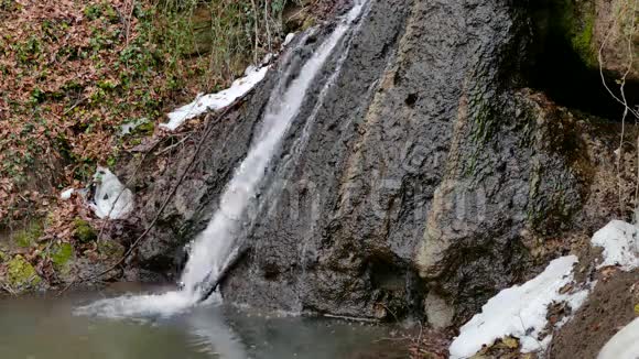 冬天的森林瀑布视频的预览图