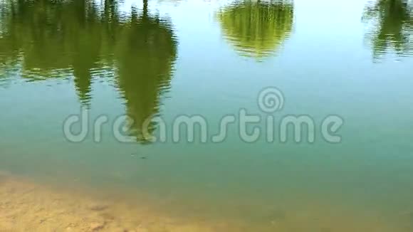 大自然中的绿湖水面视频的预览图
