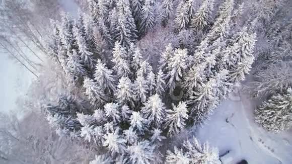 雪中森林的空中景色视频的预览图