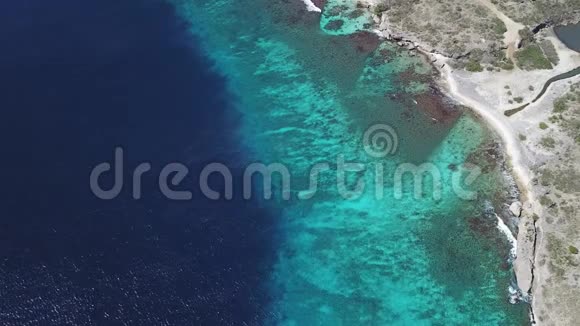 博内尔岛加勒比海沿岸泻湖4K视频视频的预览图