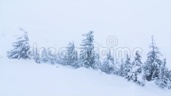 美丽的冬季景观白雪覆盖的树木冬天的山视频的预览图