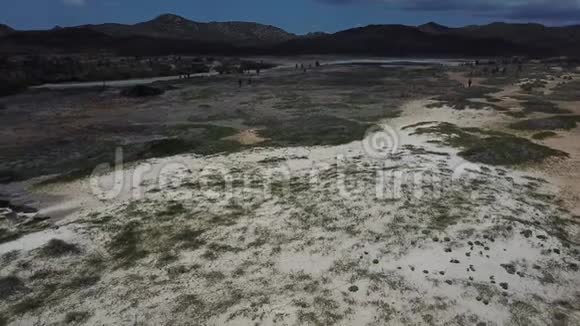 博内尔岛加勒比海沿岸泻湖4K视频视频的预览图