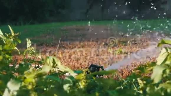 花园灌溉喷灌草坪缓行视频的预览图