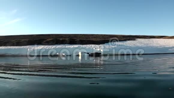 新地球上北冰洋海岸的雪和水视频的预览图