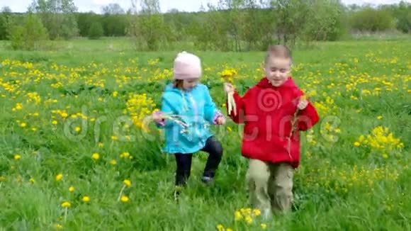草地上的男孩和小女孩视频的预览图