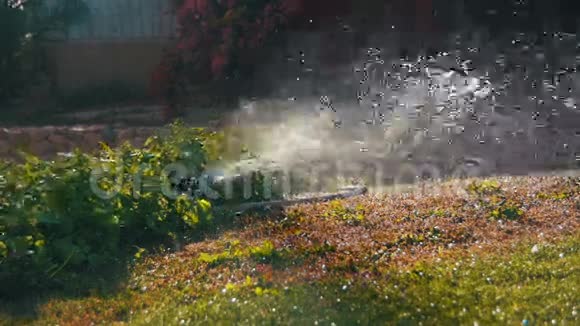 花园灌溉喷灌草坪缓行视频的预览图