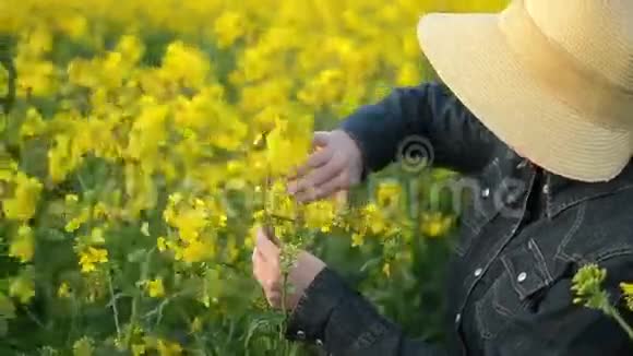 油菜栽培农业领域女农民视频的预览图