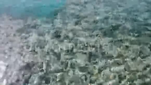 海水晶清澈的碧水背景视频的预览图