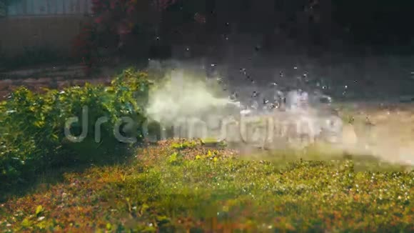 自动草坪撒在花园草地上视频的预览图