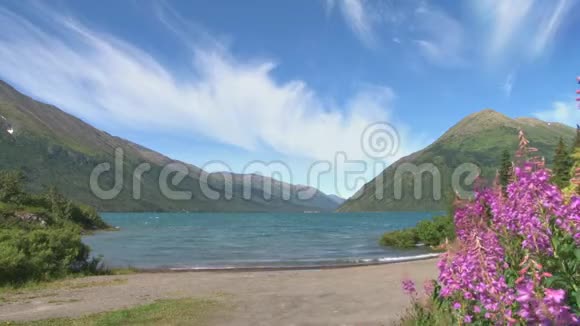 美丽的海滩山景视频的预览图