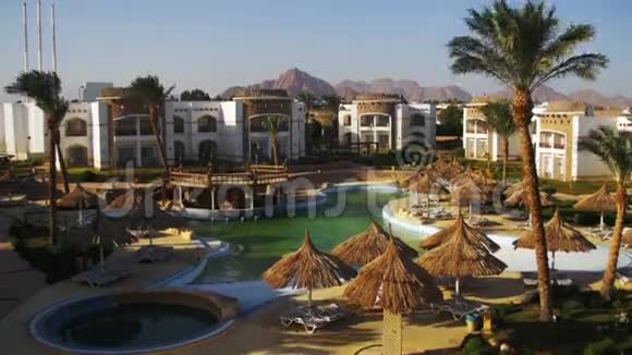 埃及阳光酒店度假村配有蓝色游泳池棕榈树和日光浴床视频的预览图