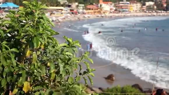 印度热带海滩泻湖视频的预览图
