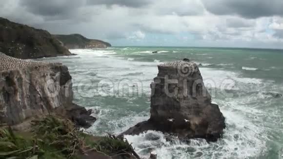 地平线上的海景天空中的云彩和新西兰的岩石视频的预览图