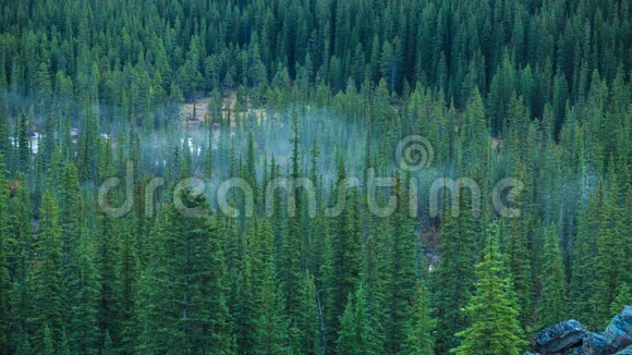 加拿大落基山脉视频的预览图