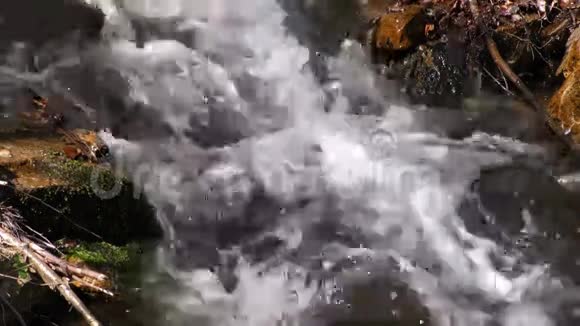 大自然中的瀑布溪视频的预览图