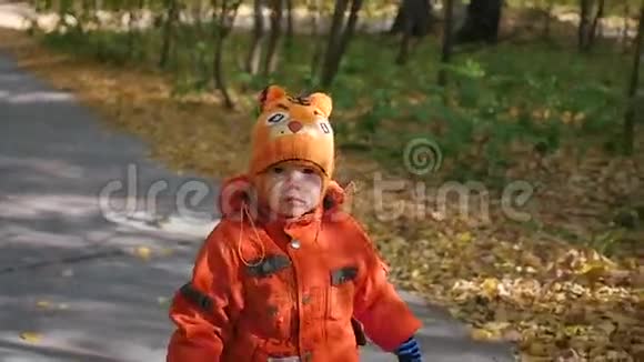 美丽的孩子在秋天公园散步视频的预览图