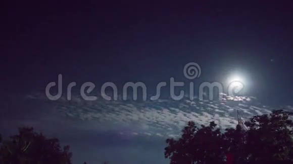 夜晚的月亮在地平线上升起树木在地平线上升起视频的预览图