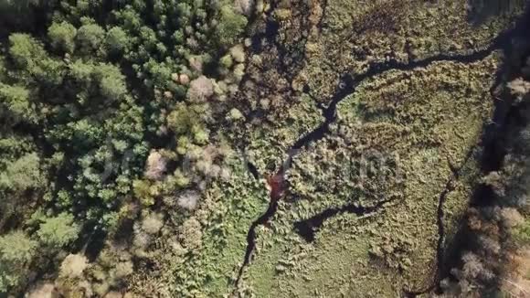 高贾河拉脱维亚空中无人机顶视图4KUHD视频视频的预览图