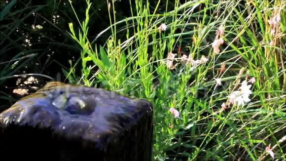 园林装饰水石视频的预览图